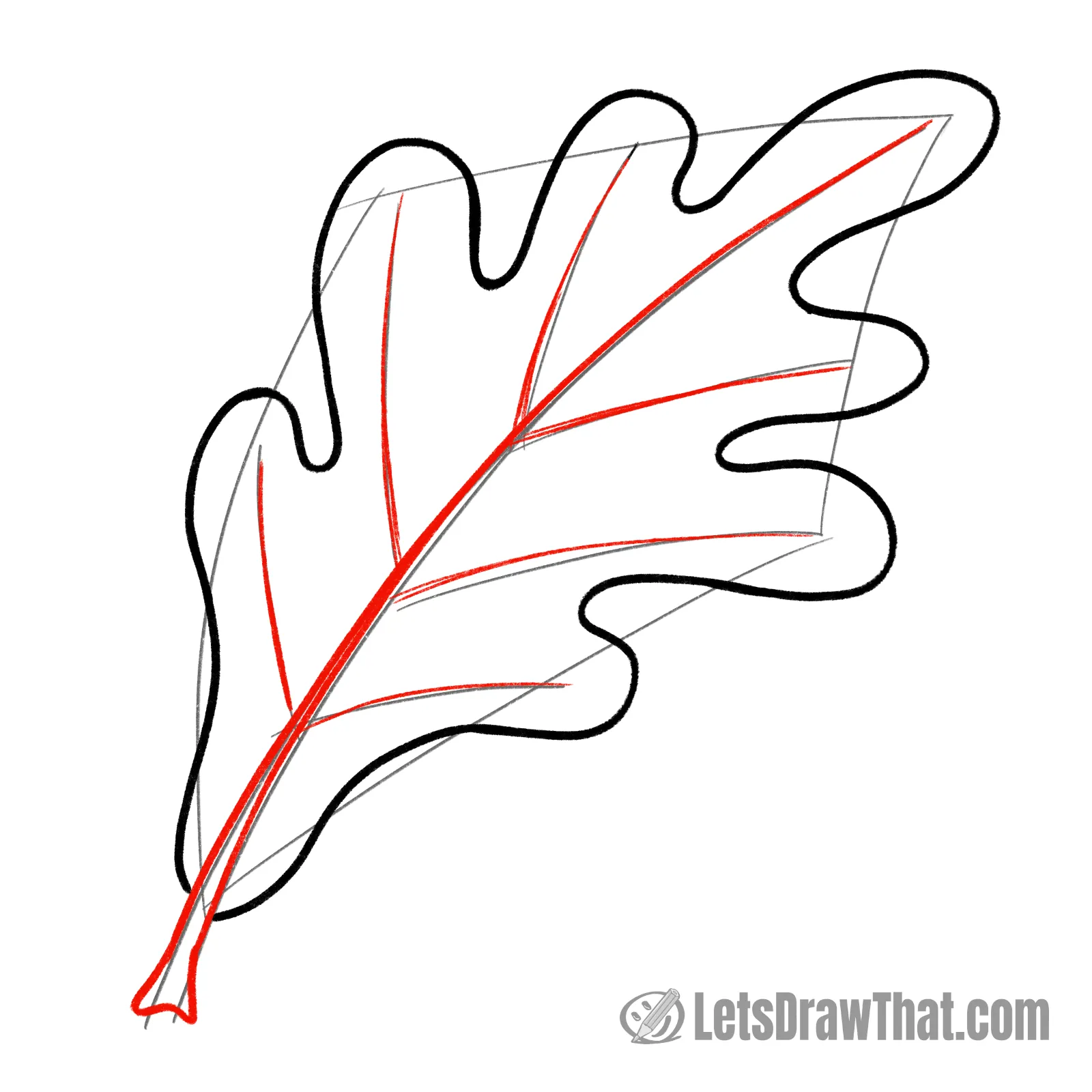 Drawing step: Draw the midrib and leaf veins